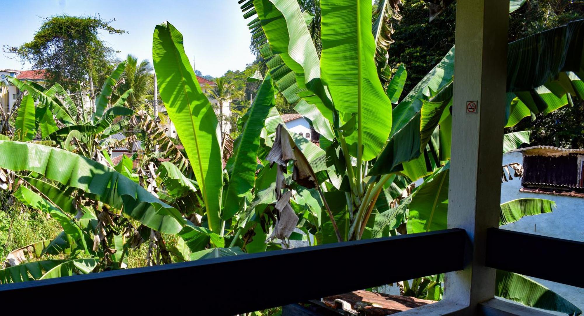 Chales Suites Ubatuba Paradise Toninhas Eksteriør billede